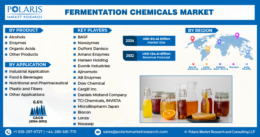 Fermentation Chemicals Market Size